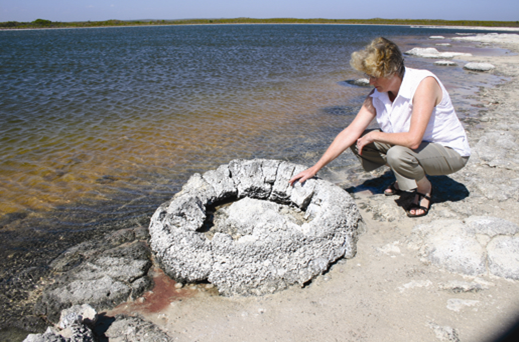 Stromatolites in the saline Lake Thetis, Western Australia. Photo: Ken McNamara